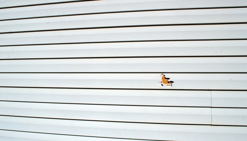 Property Maintenance in Cheyenne